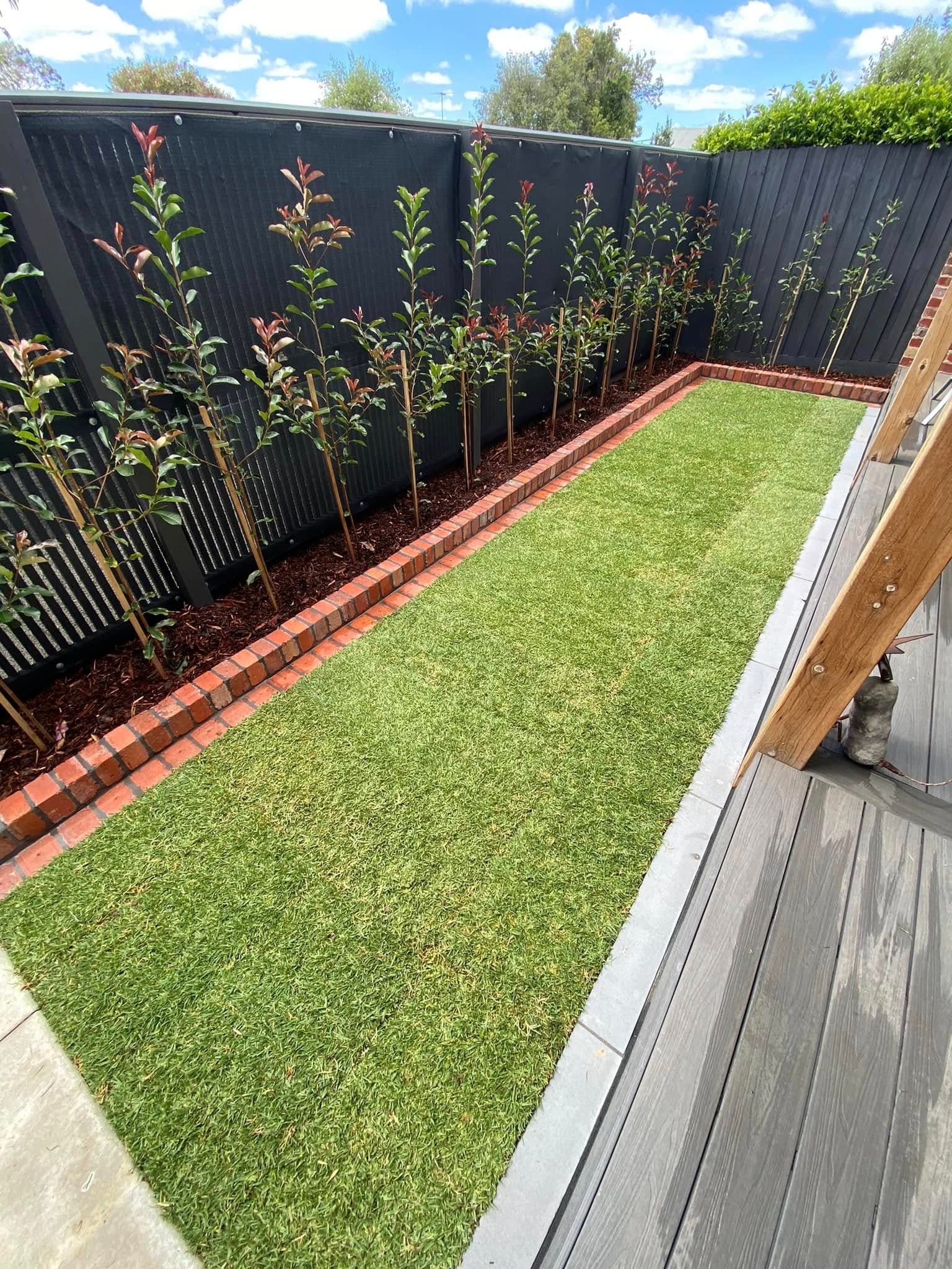 New turf, brick edge and screening trees, Geelong West